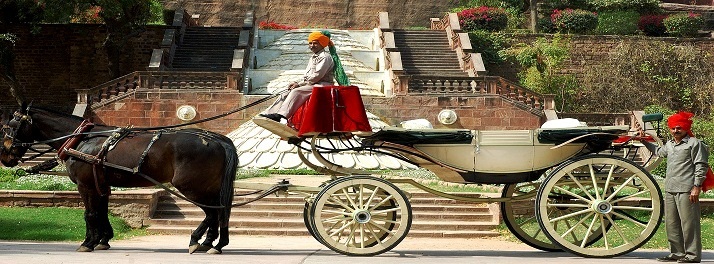 78/Bal Samand Lake Palace - Jodhpur 11.jpg